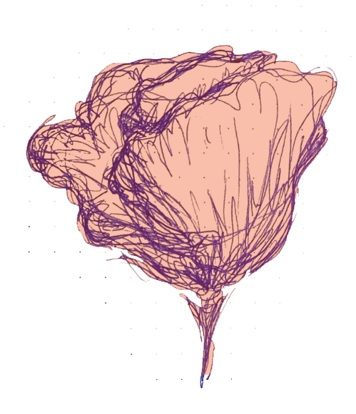 Poppy Drawing Honoring 'A'